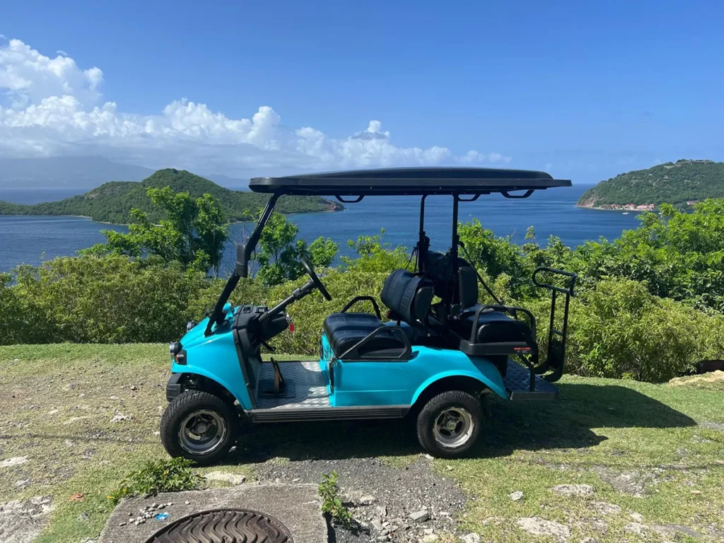 voiturette-aquablue-1