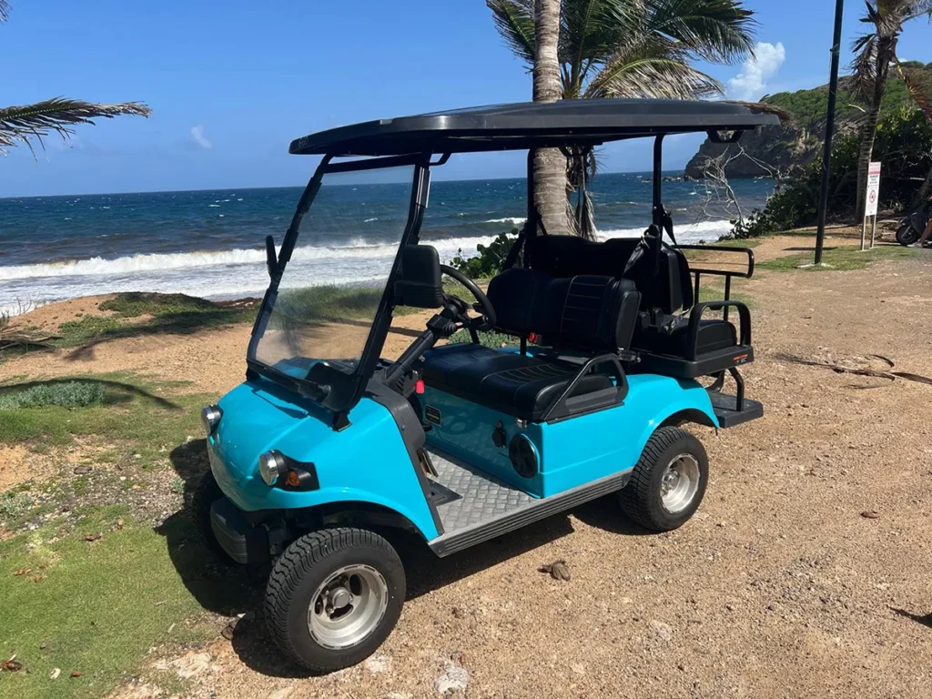 voiturette-aquablue-11