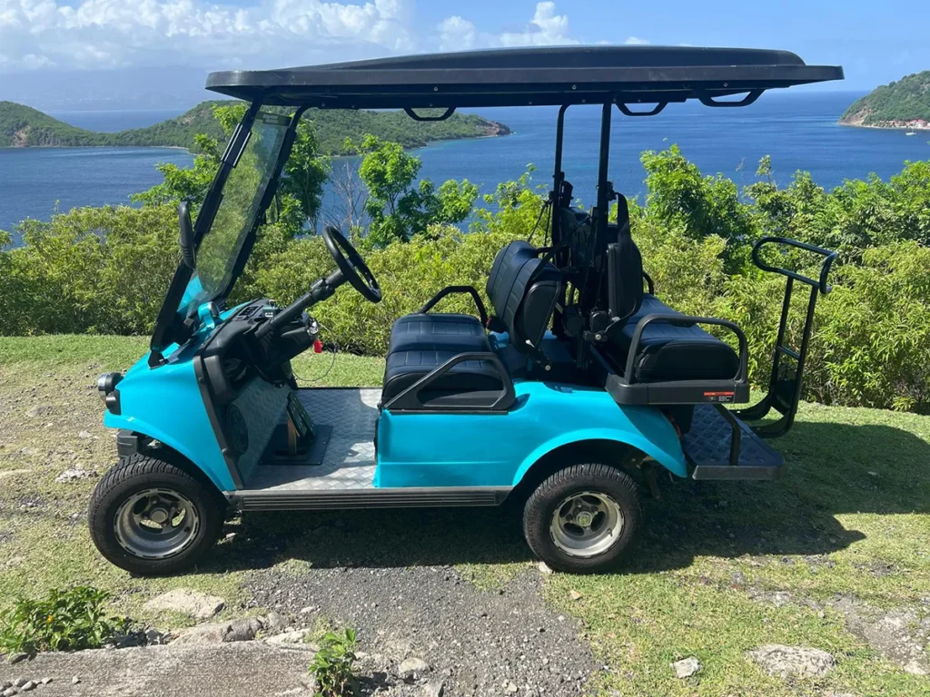 voiturette-aquablue-3