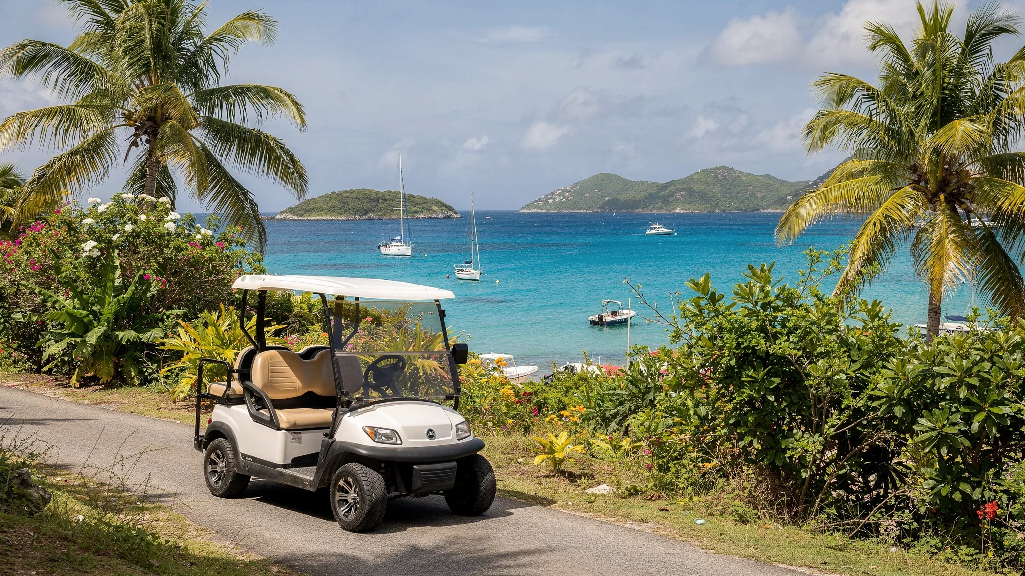 Une voiturette électrique garée sur une petite route de Terre-de-Haut, entourée de végétation tropicale, avec la baie des Saintes et quelques bateaux en arrière-plan.